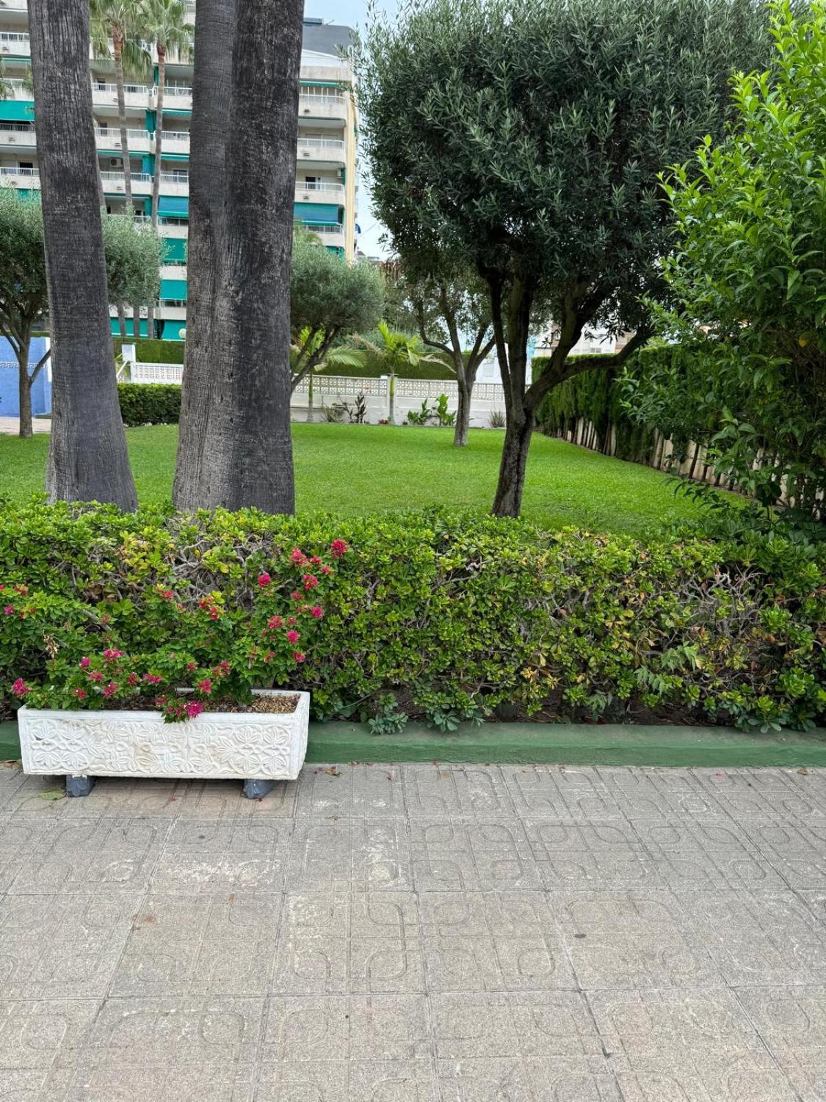 شقة Laramar Playa de Gandia المظهر الخارجي الصورة